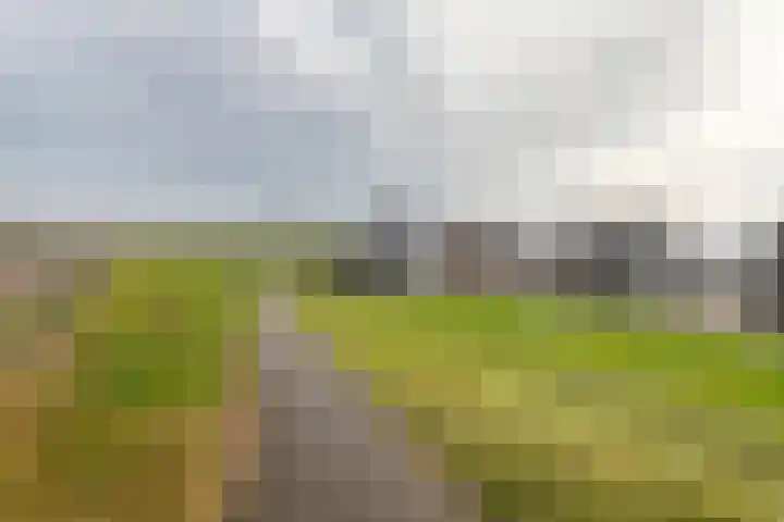 Dericks en Geldens 23 Druten thumbnail 44