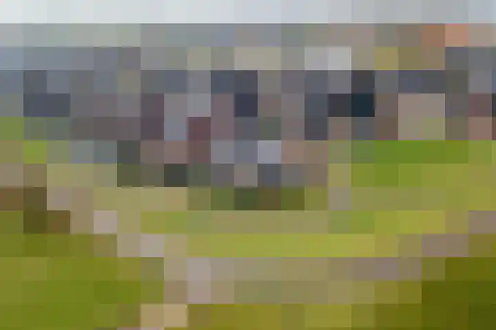 Dericks en Geldens 23 Druten thumbnail 45