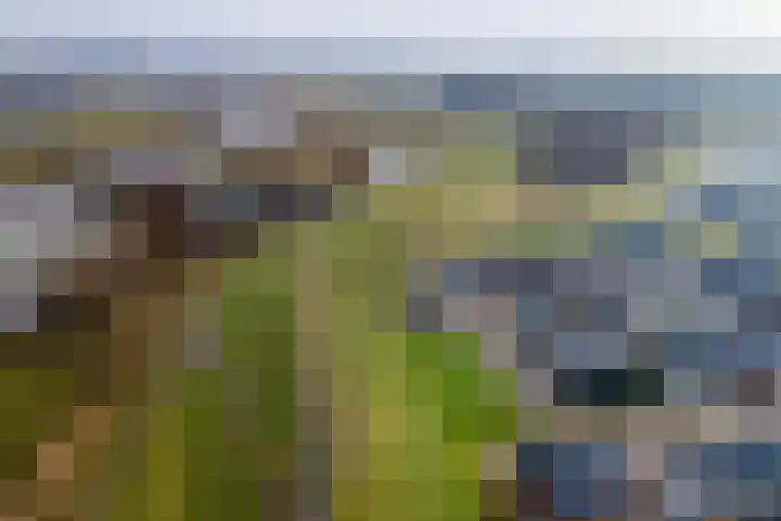 Dericks en Geldens 23 Druten thumbnail 46