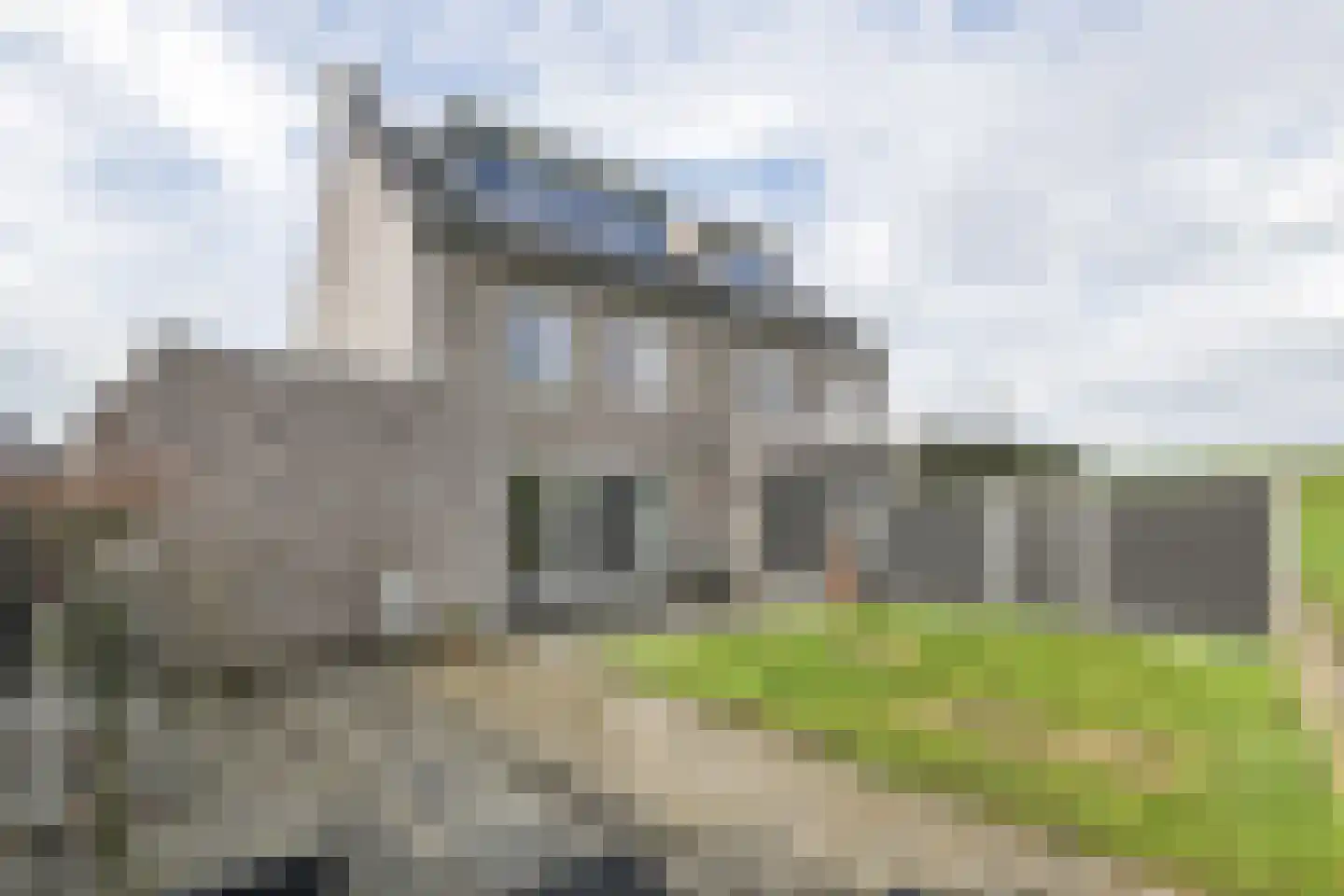 Dericks en Geldens 25 Druten thumbnail 30