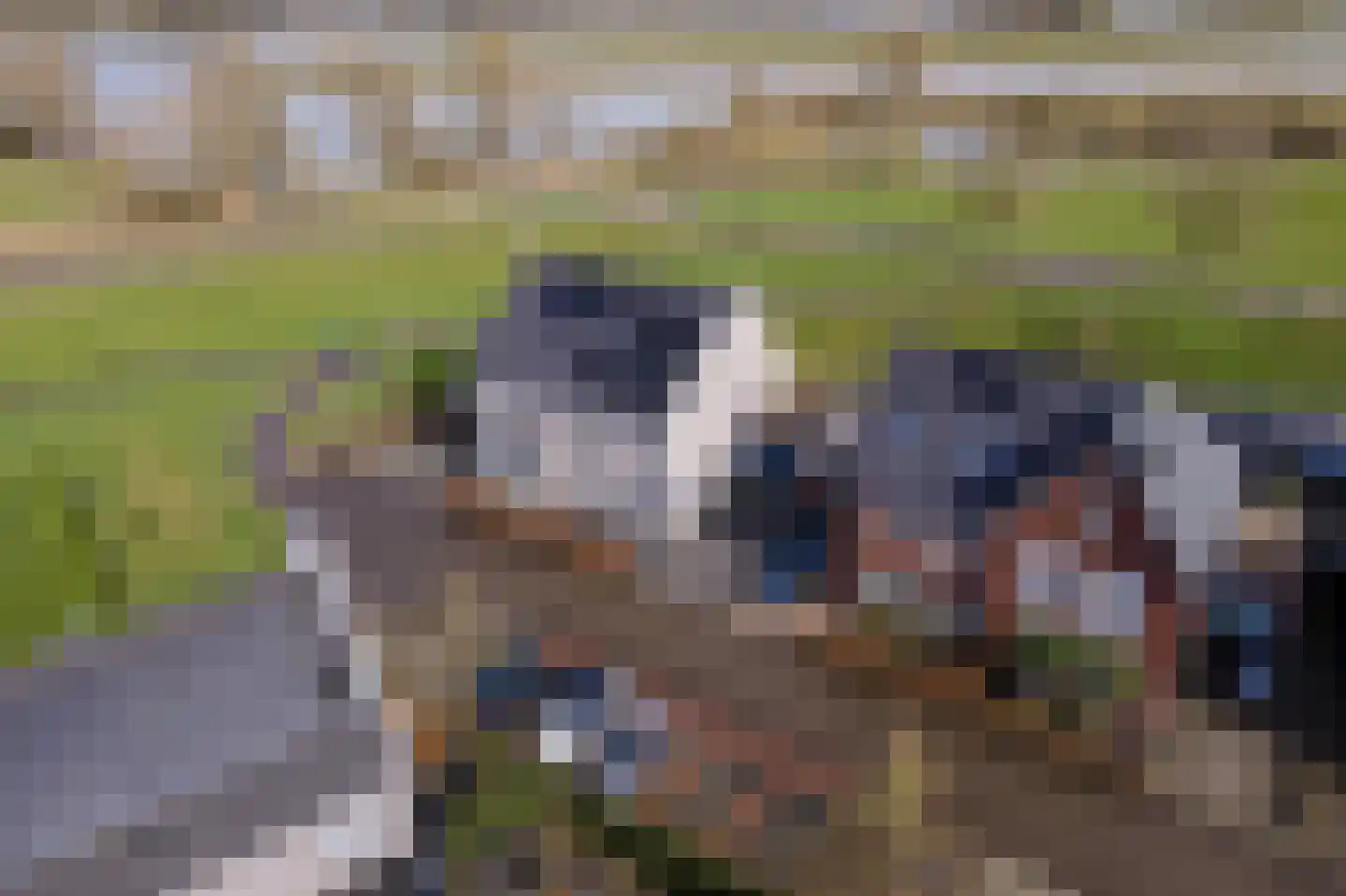 Dericks en Geldens 25 Druten thumbnail 37