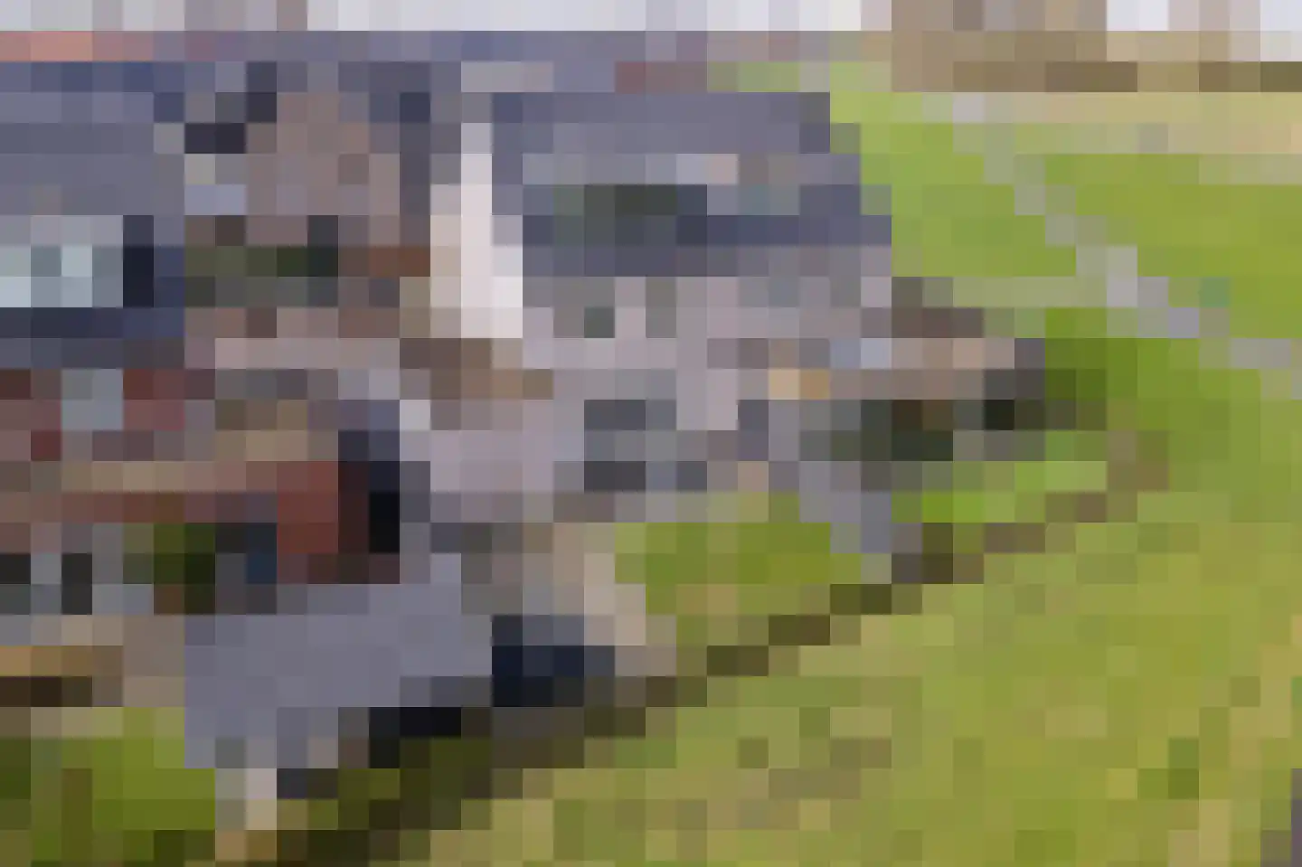 Dericks en Geldens 25 Druten thumbnail 38