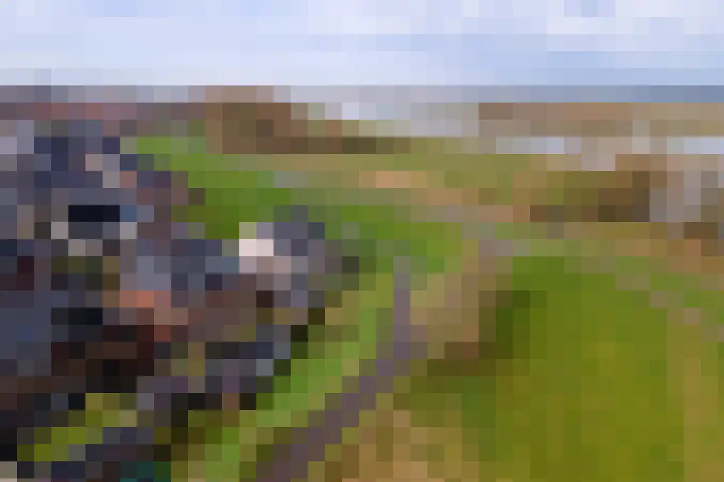 Dericks en Geldens 25 Druten thumbnail 39