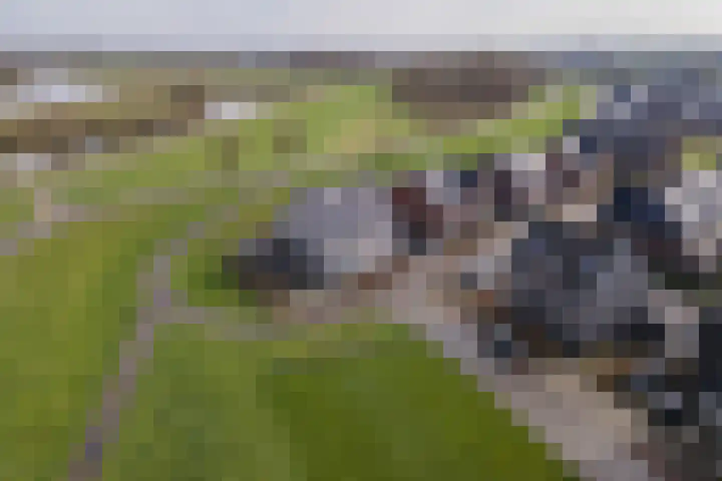 Dericks en Geldens 25 Druten thumbnail 40