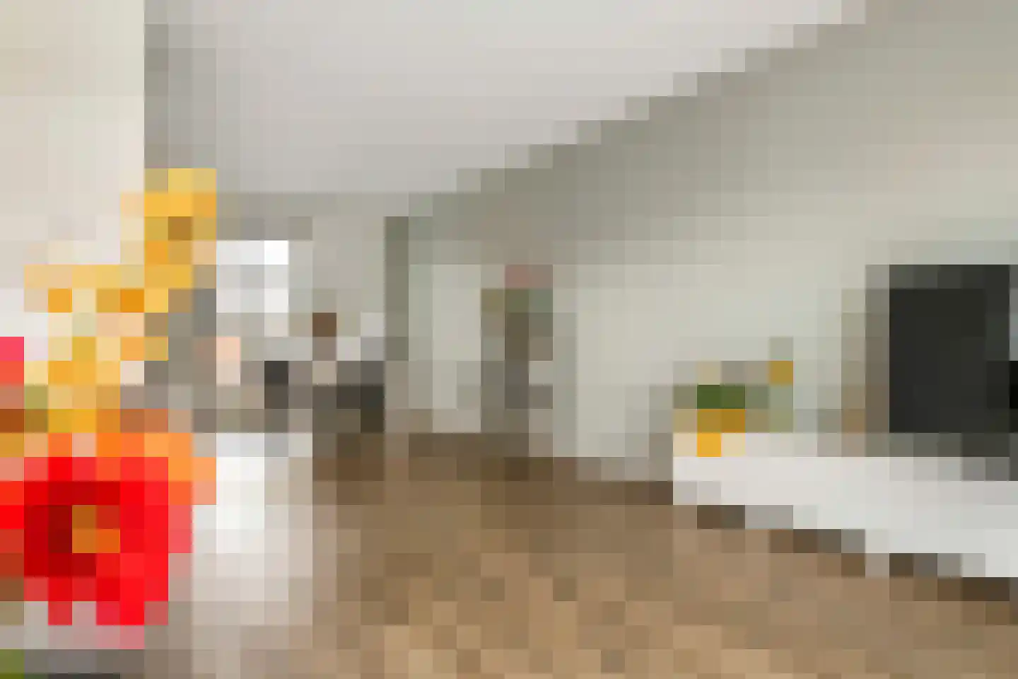 Dericks en Geldens 25 Druten thumbnail 8