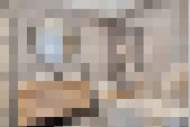 Dericks en Geldens 31 Druten thumbnail 18