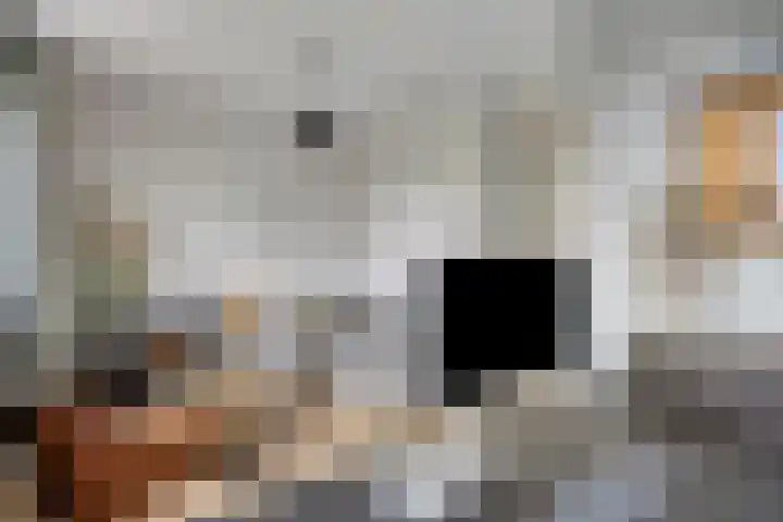 Dericks en Geldens 31 Druten thumbnail 20