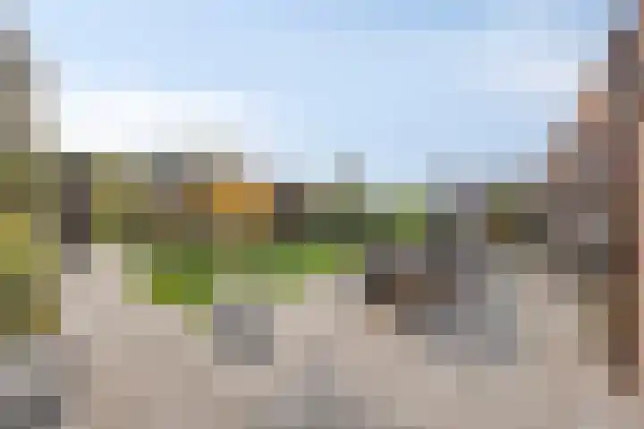 Dericks en Geldens 31 Druten thumbnail 37