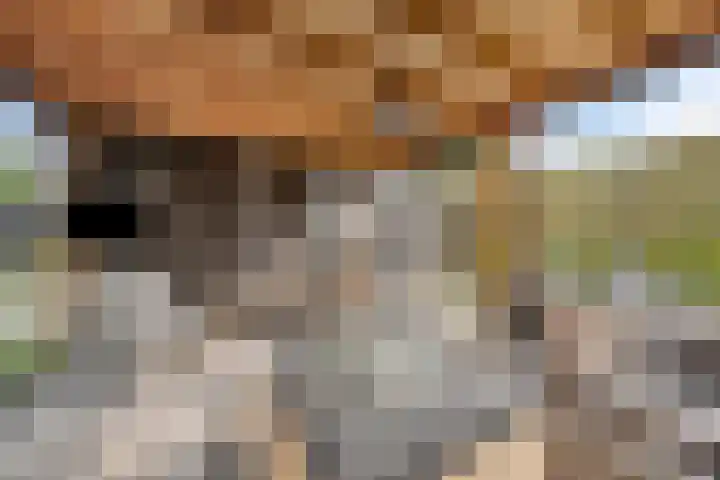 Dericks en Geldens 31 Druten thumbnail 40
