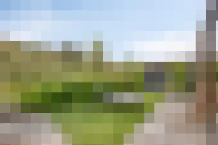 Dericks en Geldens 31 Druten thumbnail 42