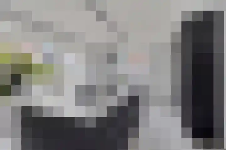 Dericks en Geldens 31 Druten thumbnail 6