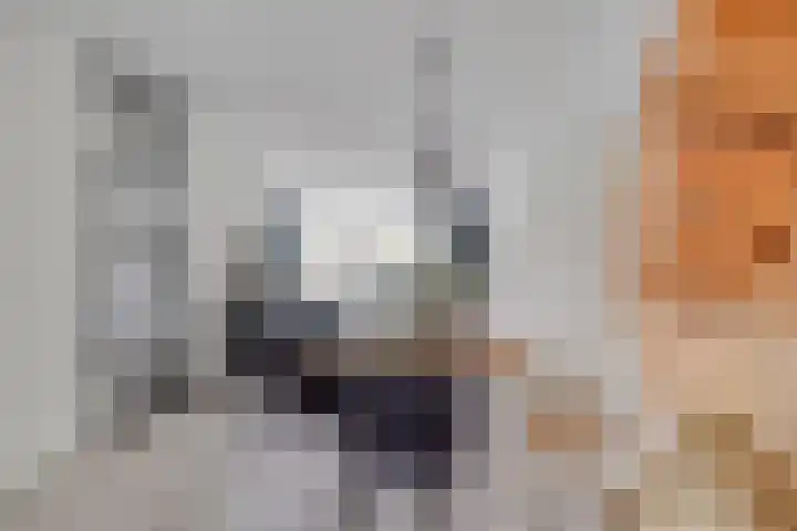 Dericks en Geldens 31 Druten thumbnail 8