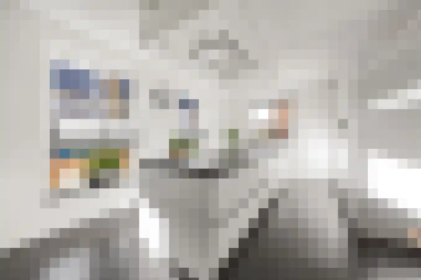 Dericks en Geldens 35 Druten thumbnail 4