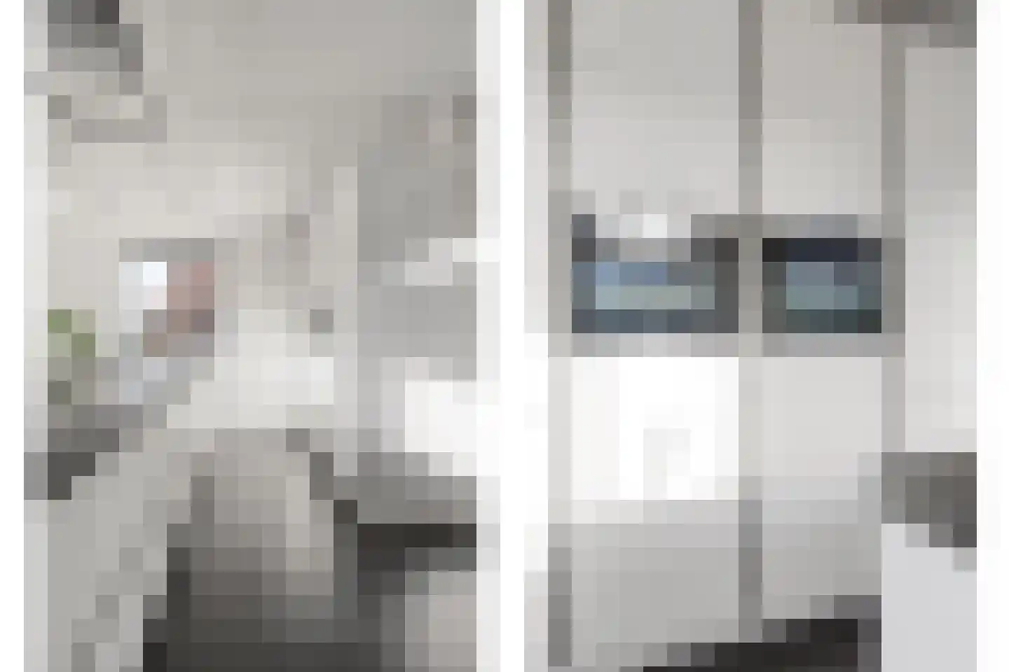 Dericks en Geldens 35 Druten thumbnail 5