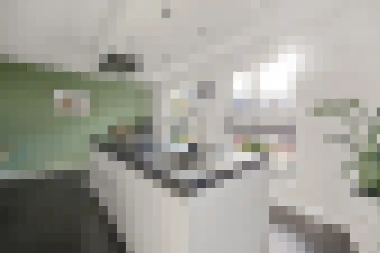 Dericks en Geldens 35 Druten thumbnail 6