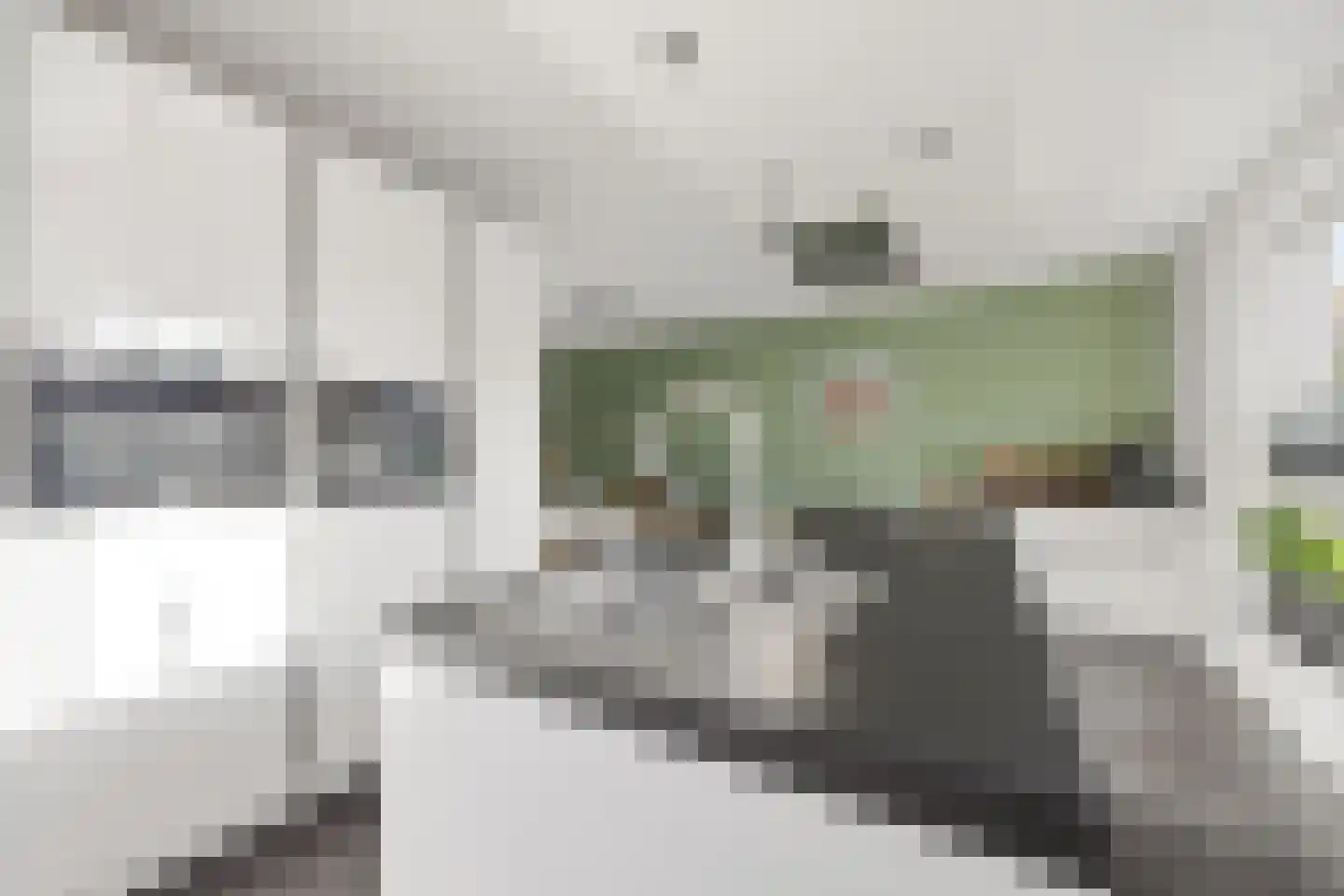 Dericks en Geldens 35 Druten thumbnail 7