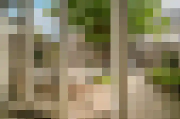 Dericks en Geldens 6 Druten thumbnail 30