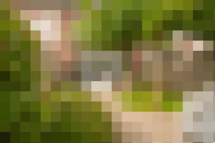 Dericks en Geldens 6 Druten thumbnail 31