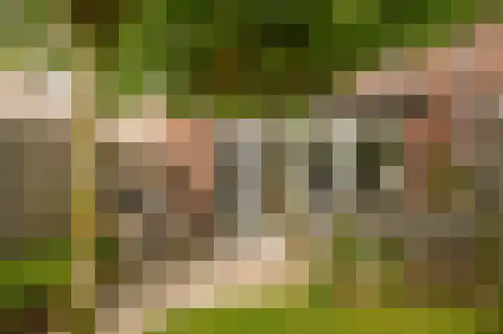 Dericks en Geldens 6 Druten thumbnail 33