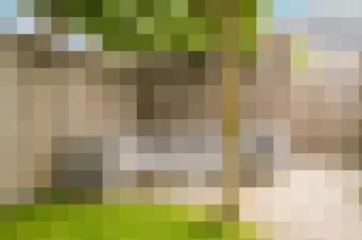 Dericks en Geldens 6 Druten thumbnail 35