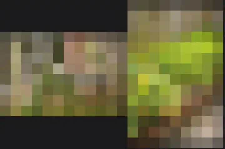Dericks en Geldens 6 Druten thumbnail 36