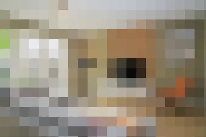 Dericks en Geldens 6 Druten thumbnail 7