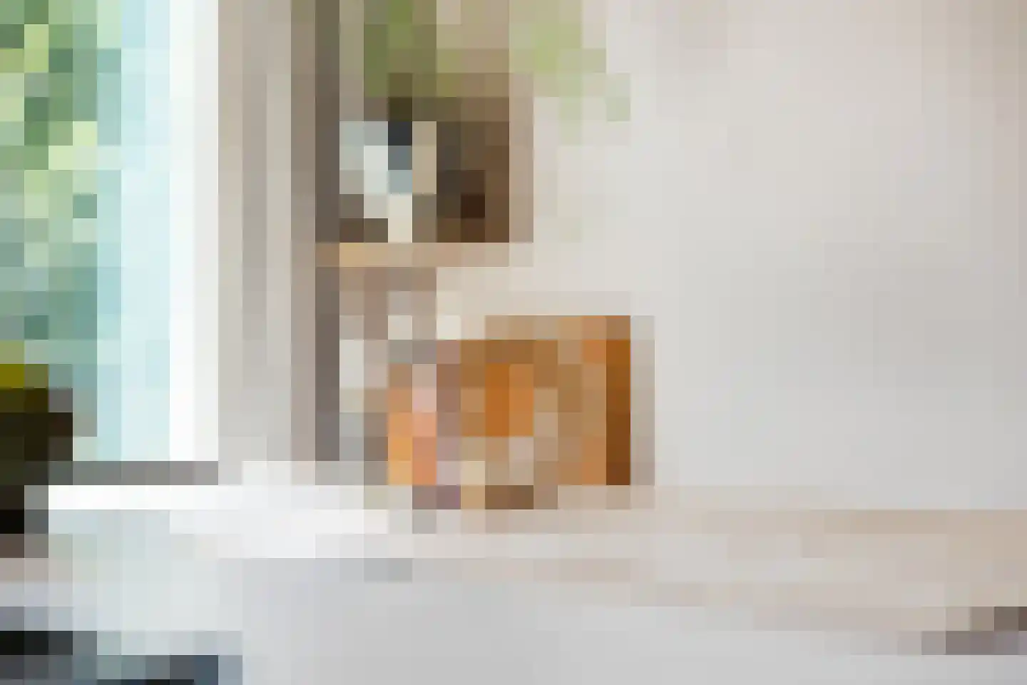 Derk Buismanstraat 2 Zwolle thumbnail 12