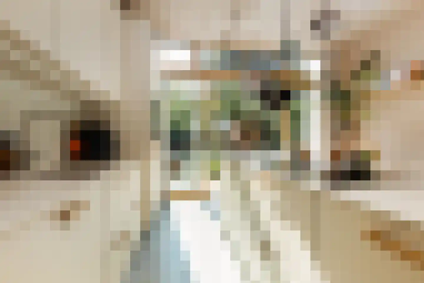 Derk Buismanstraat 2 Zwolle thumbnail 13