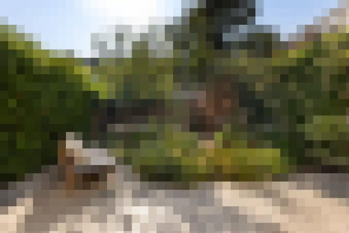 Derk Buismanstraat 2 Zwolle thumbnail 14