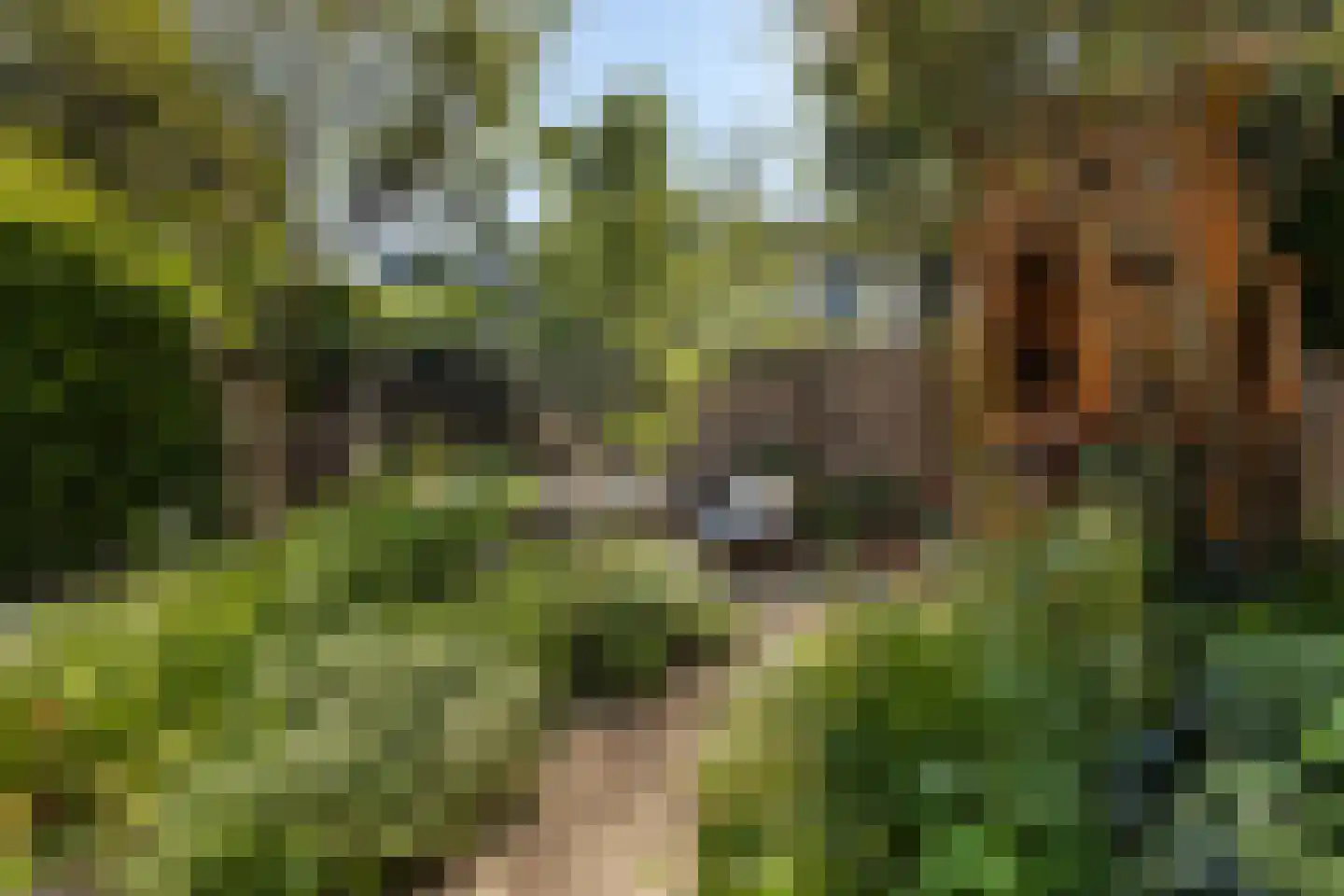 Derk Buismanstraat 2 Zwolle thumbnail 16