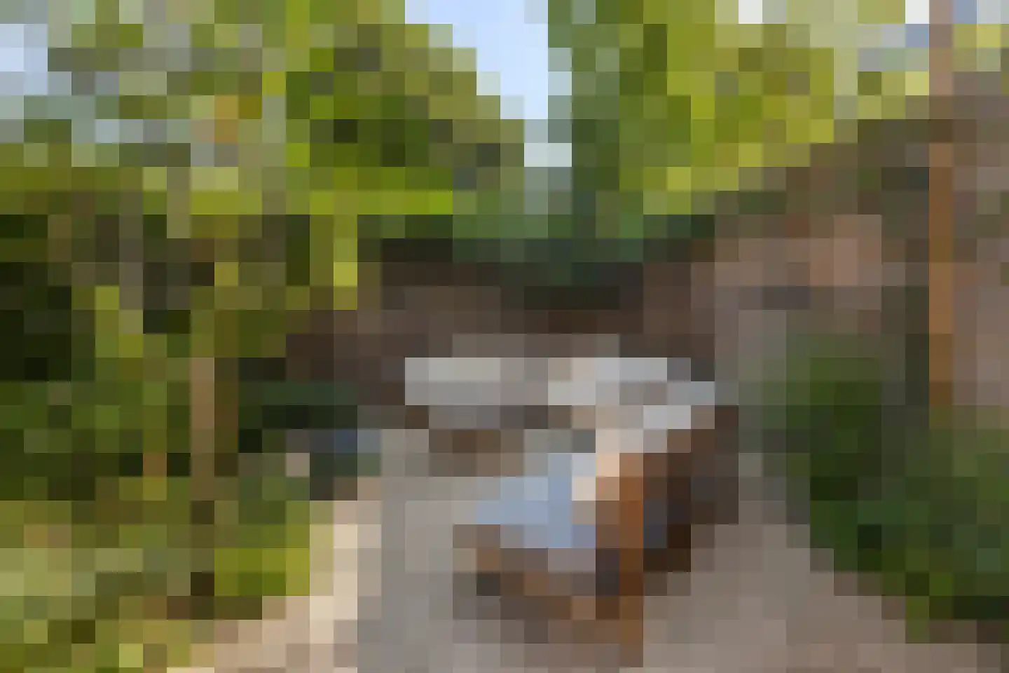Derk Buismanstraat 2 Zwolle thumbnail 17