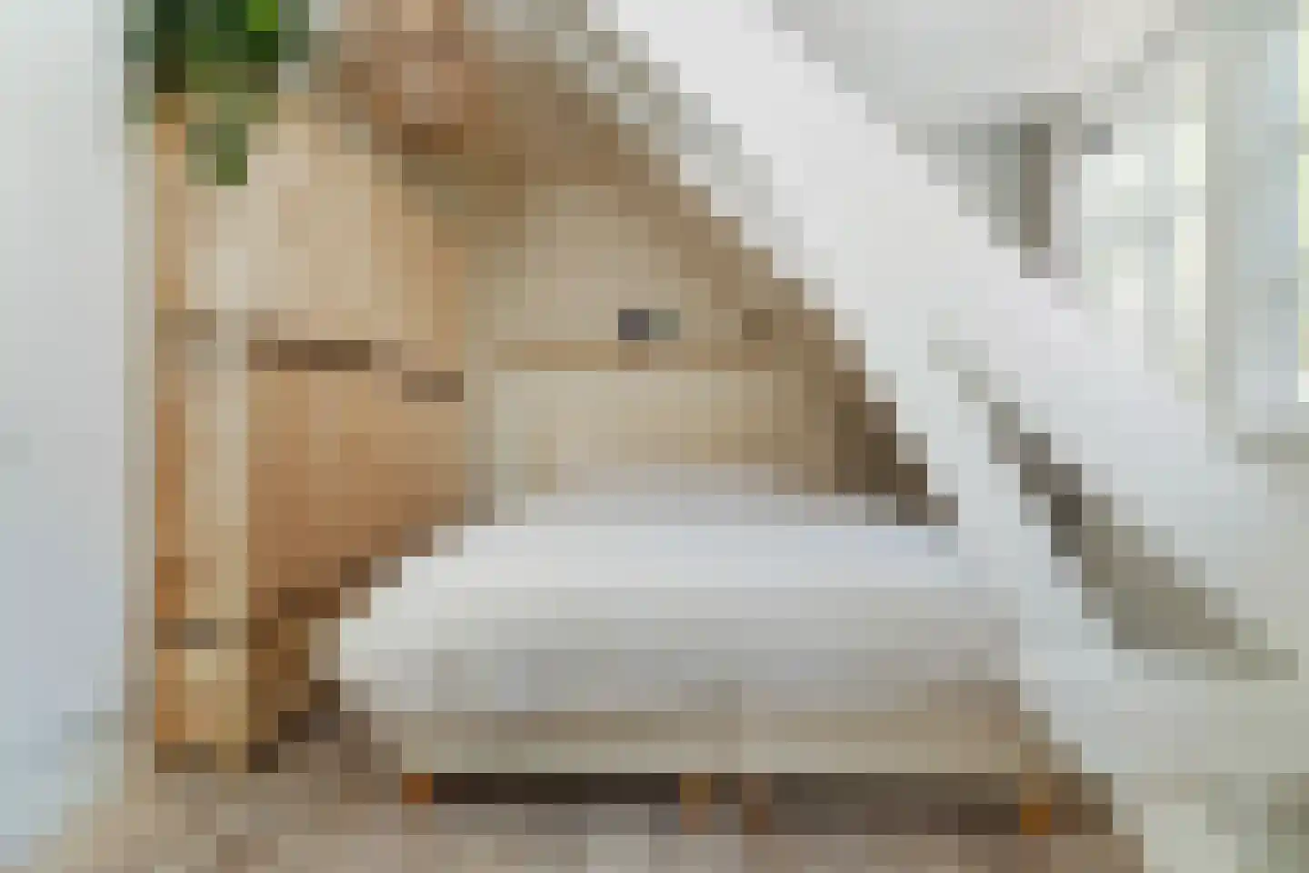 Derk Buismanstraat 2 Zwolle thumbnail 26