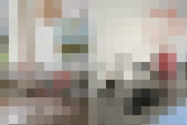 Derk Buismanstraat 6 Zwolle thumbnail 12