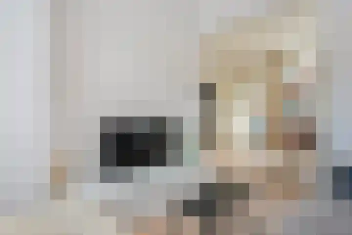 Derk Buismanstraat 6 Zwolle thumbnail 7
