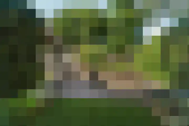 Derk Mulderweg 44 Loenen thumbnail 44