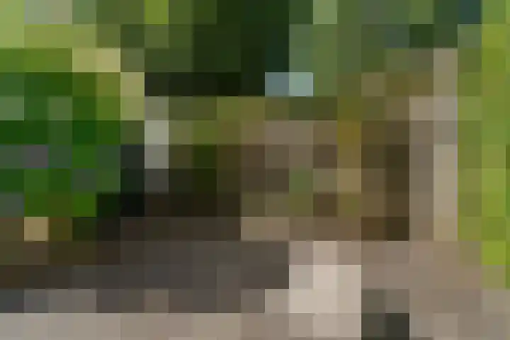Derk Mulderweg 44 Loenen thumbnail 47