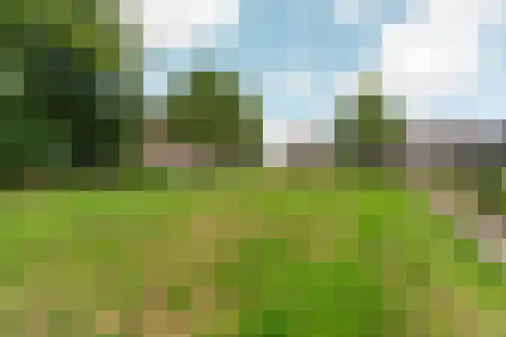 Derk Mulderweg 44 Loenen thumbnail 48