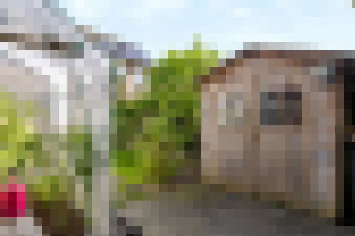 Derk Mulderweg 48 Loenen thumbnail 33