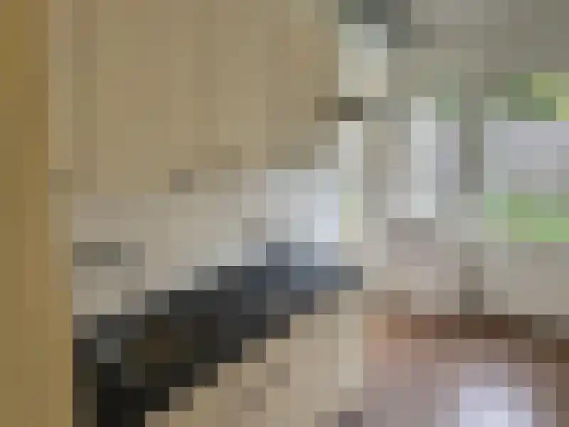 Derk Smoeslaan 42 Almelo thumbnail 11