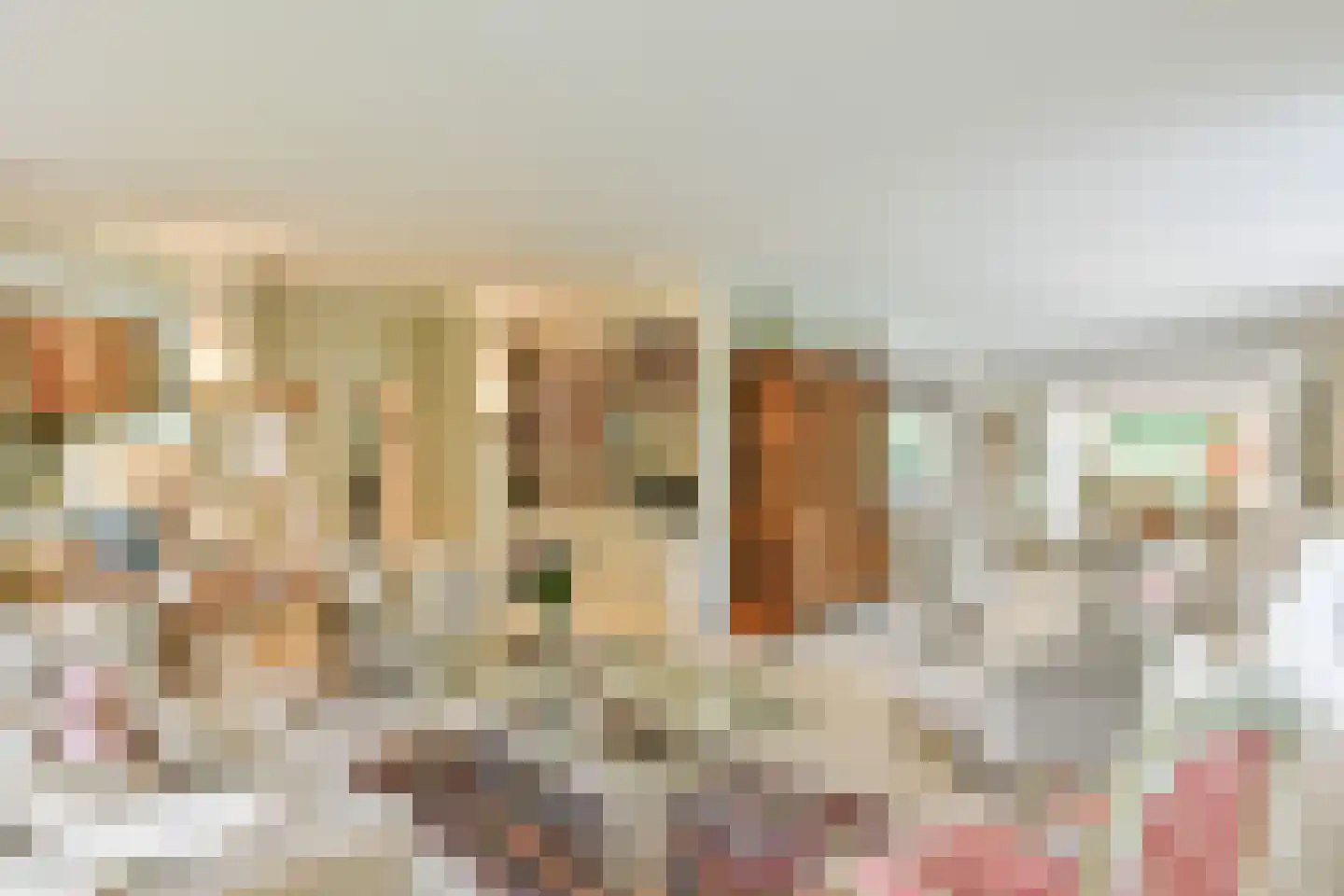 Derkinderenlaan 25 Laren thumbnail 10