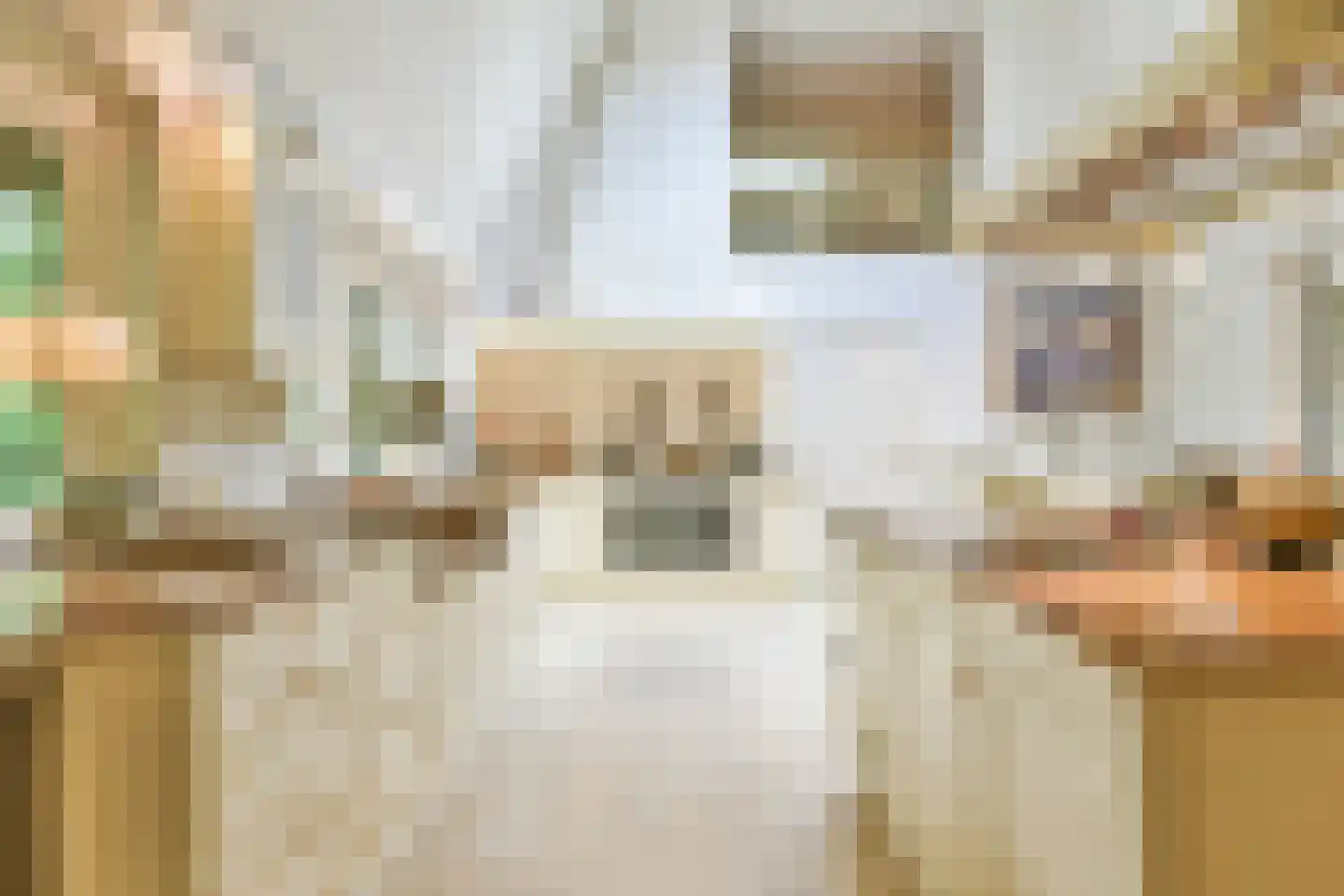 Derkinderenlaan 25 Laren thumbnail 19
