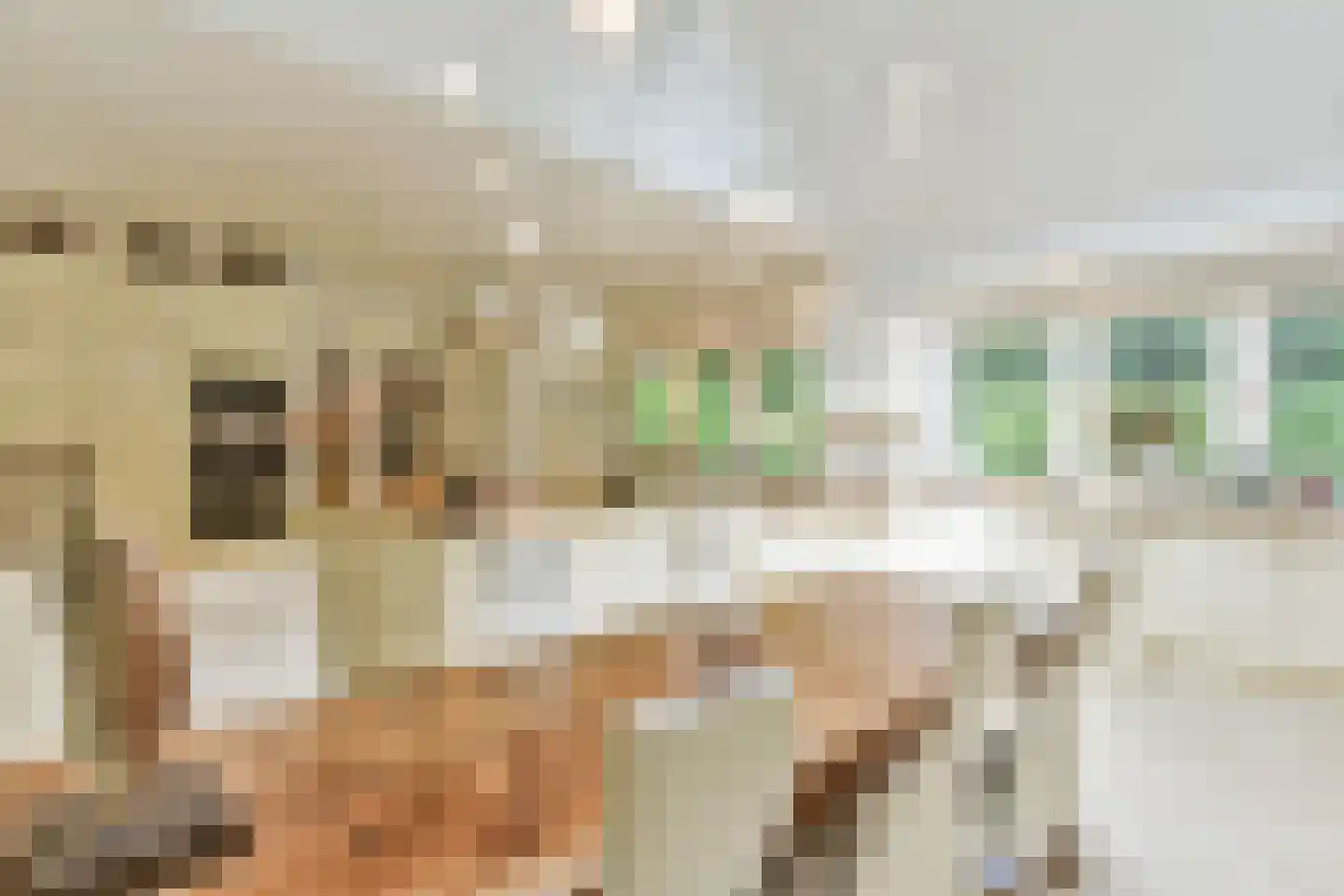 Derkinderenlaan 25 Laren thumbnail 20