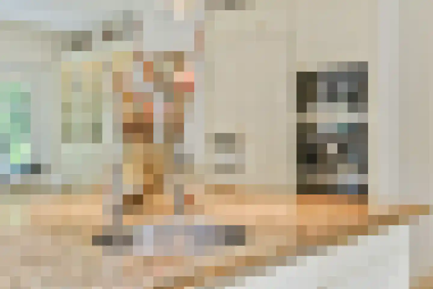 Derkinderenlaan 25 Laren thumbnail 21