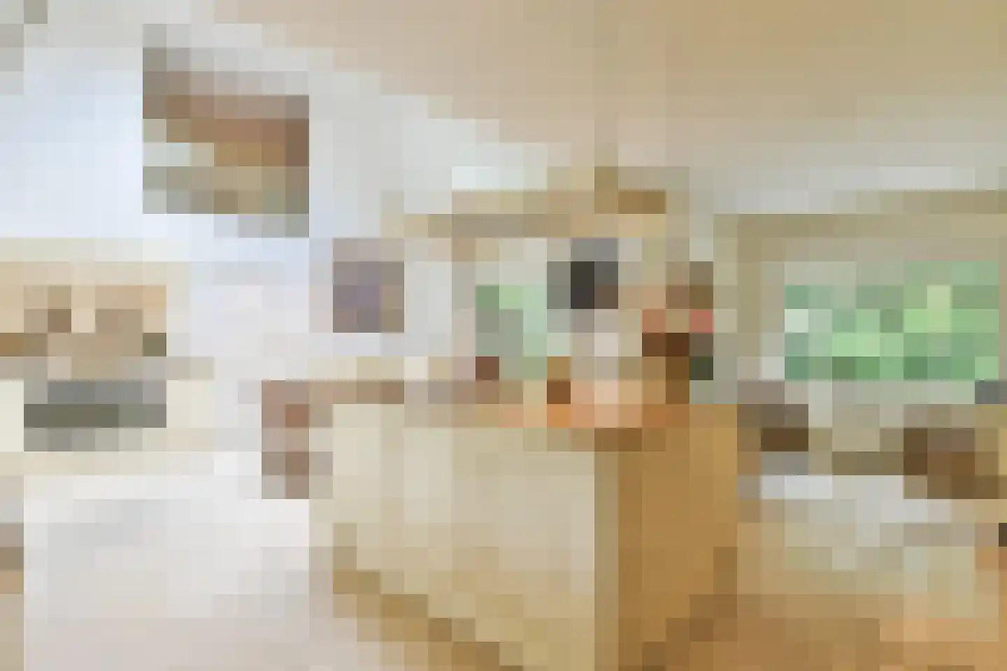Derkinderenlaan 25 Laren thumbnail 25