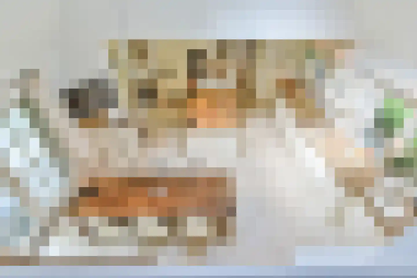 Derkinderenlaan 25 Laren thumbnail 28