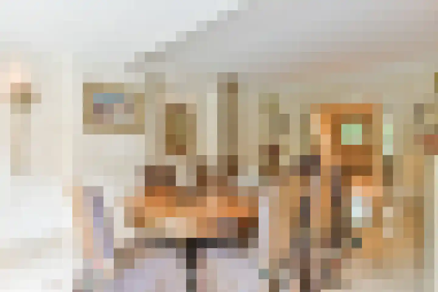 Derkinderenlaan 25 Laren thumbnail 31