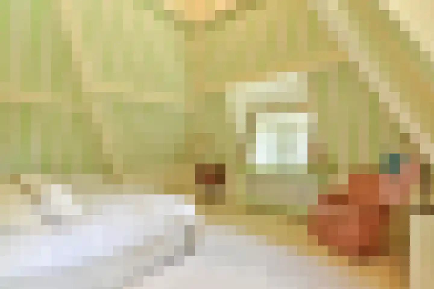 Derkinderenlaan 25 Laren thumbnail 55