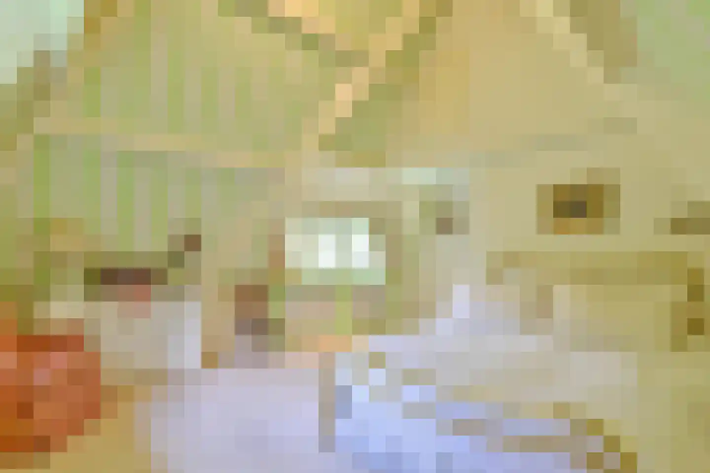 Derkinderenlaan 25 Laren thumbnail 56