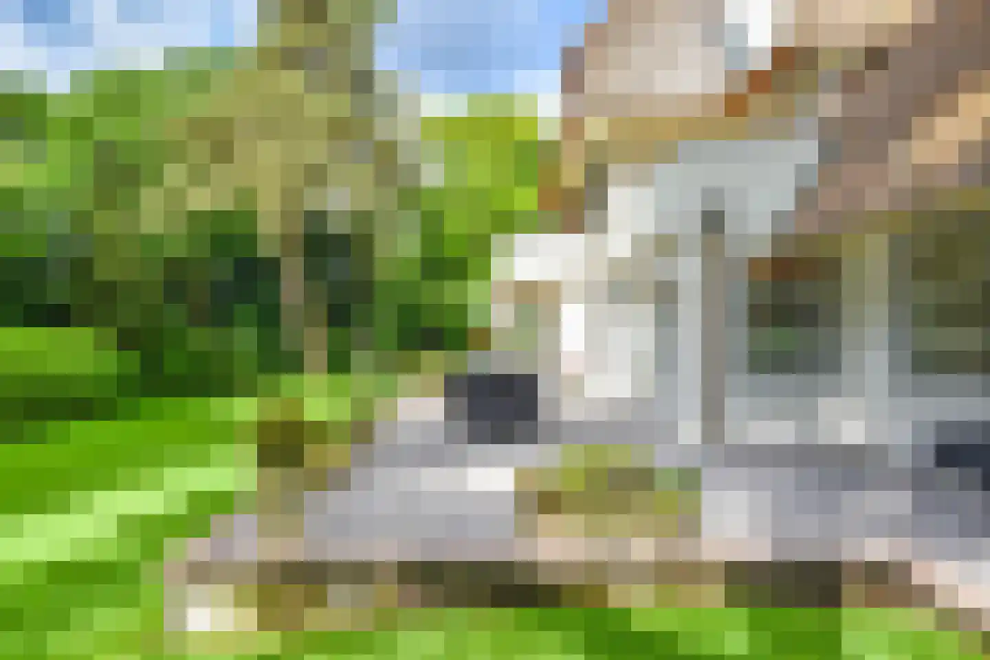Derkinderenlaan 25 Laren thumbnail 59