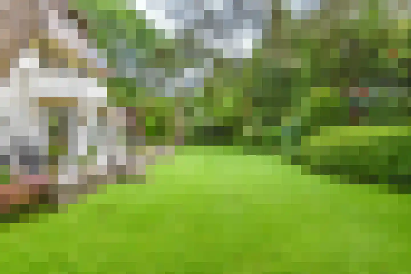 Derkinderenlaan 25 Laren thumbnail 61